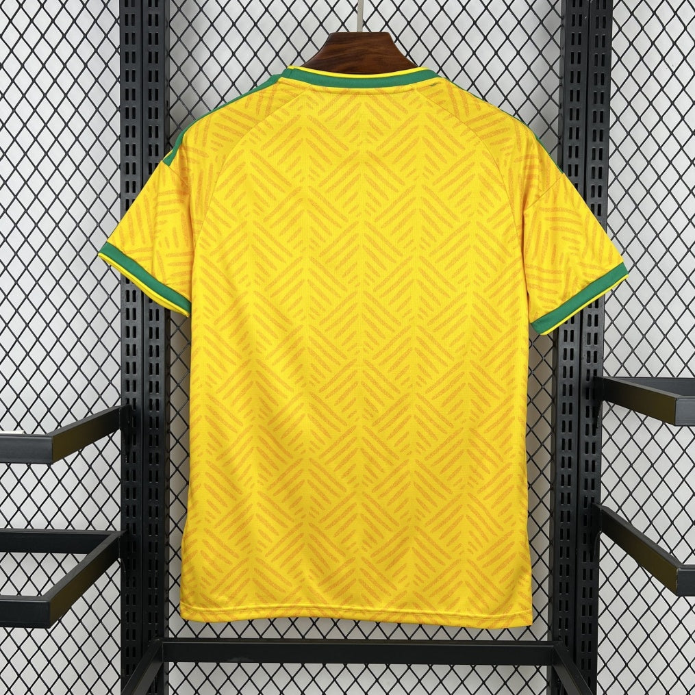 Maillot 2026 South Africa Domicile