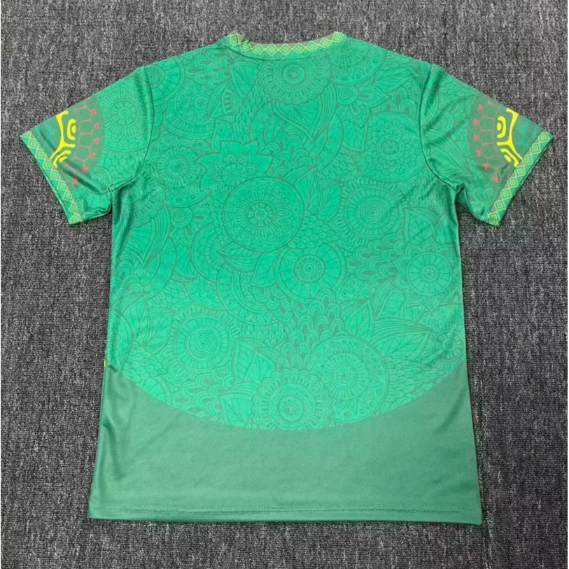 25/26 Maillot Mali Spécial green