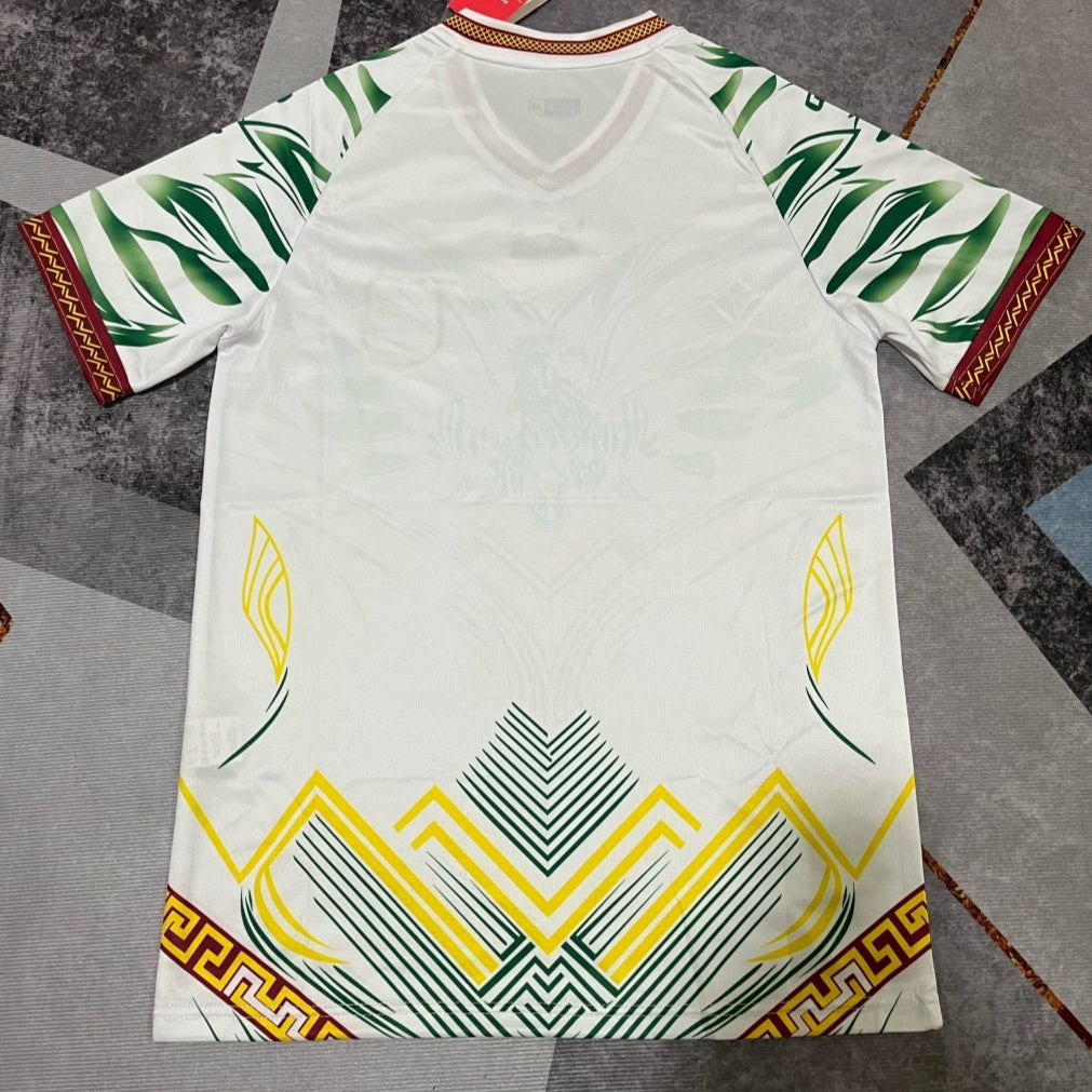 Maillot 25/26 Mali Spécial white