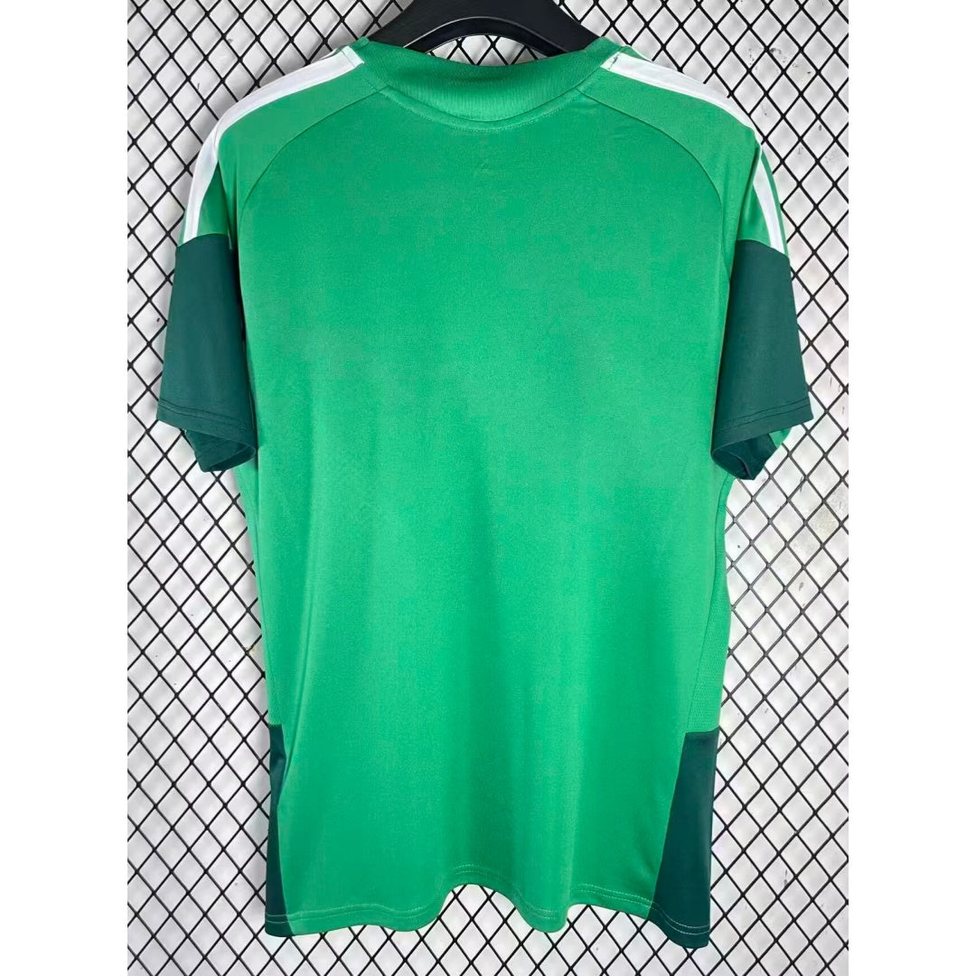 Maillot 25/26 Algérie Spécial green