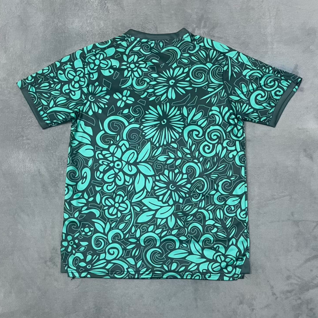 Maillot 25/26 FC(Filastin) Spécial green