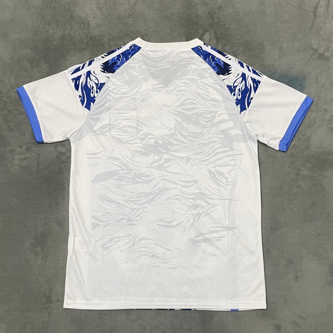Maillot 25/26 japon Spécial blue dragon q