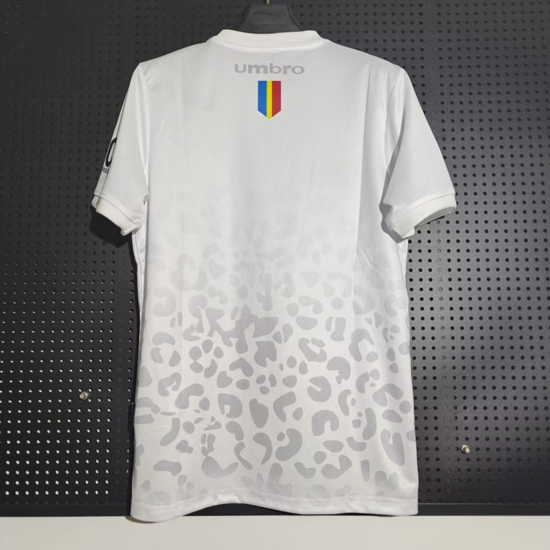 Maillot 25/26 Congo Extérieur