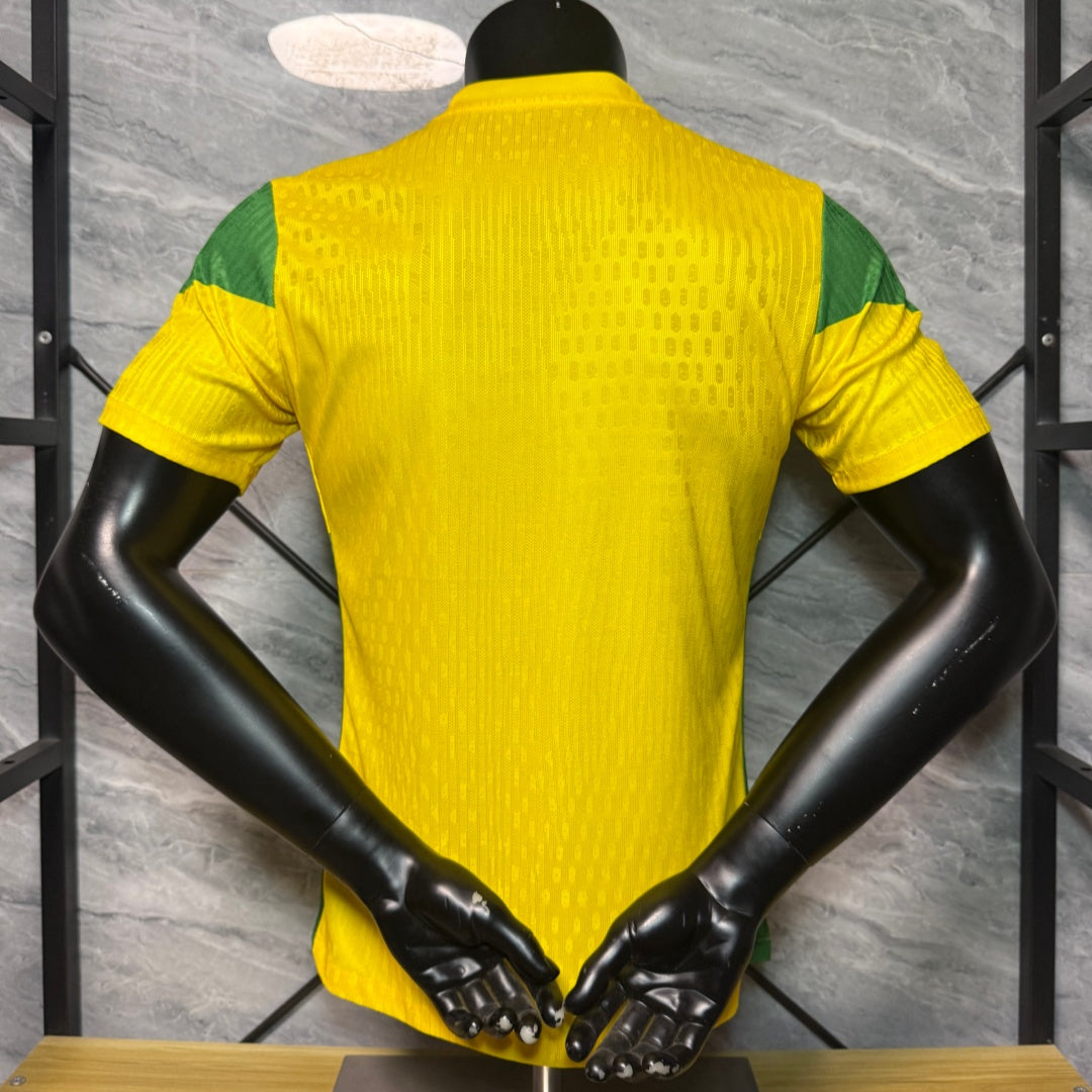 Maillot 25/26 Benin yellow player