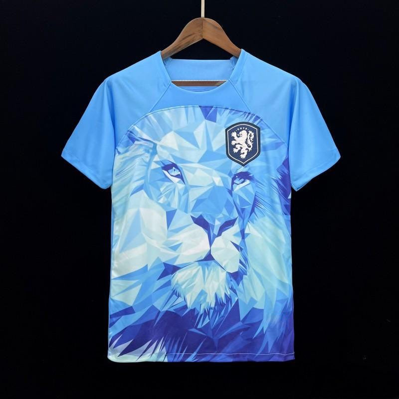 Angleterre maillot Édition spéciale 2023 2024 - L'Univers du Maillot