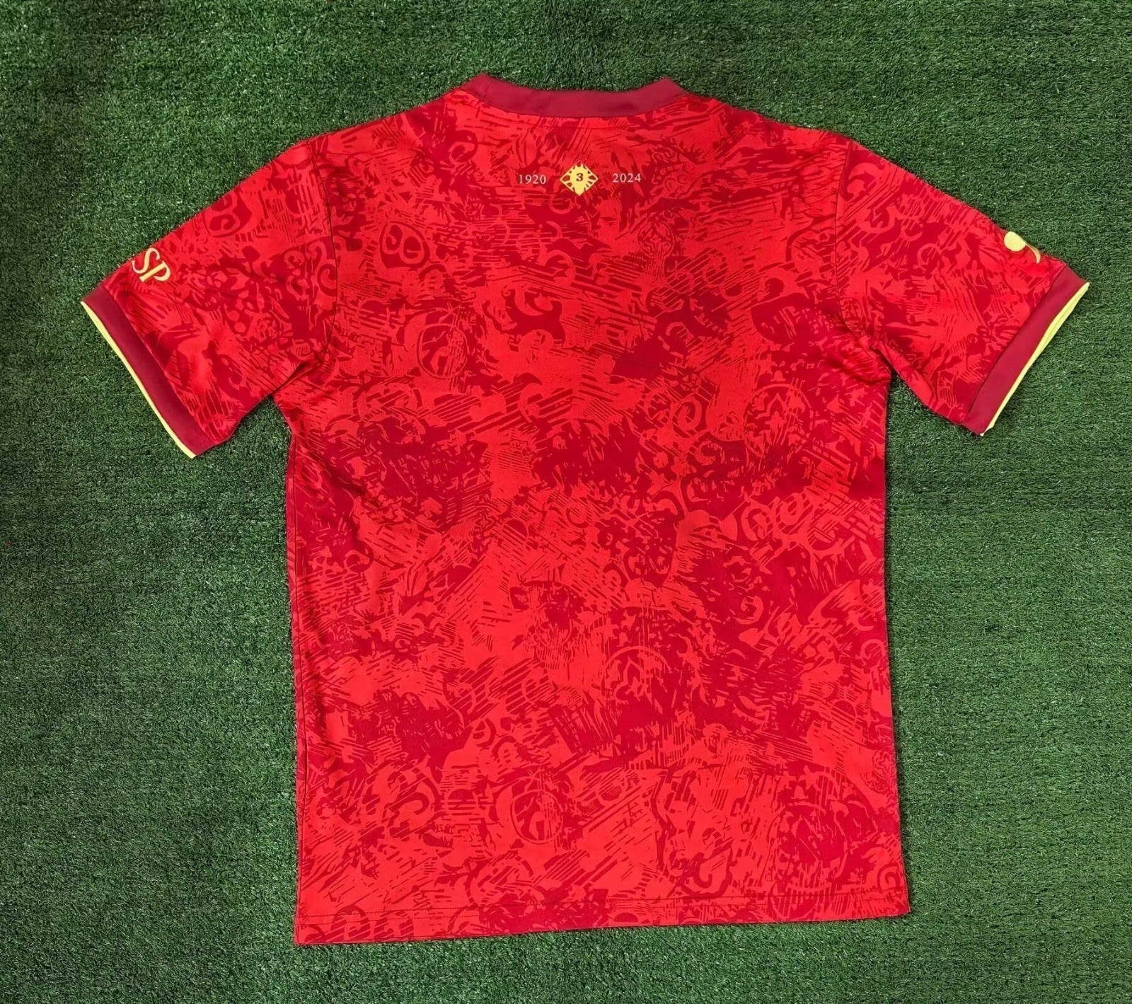 Maillot 24/25 Espagne Spécial - L'Univers du Maillot