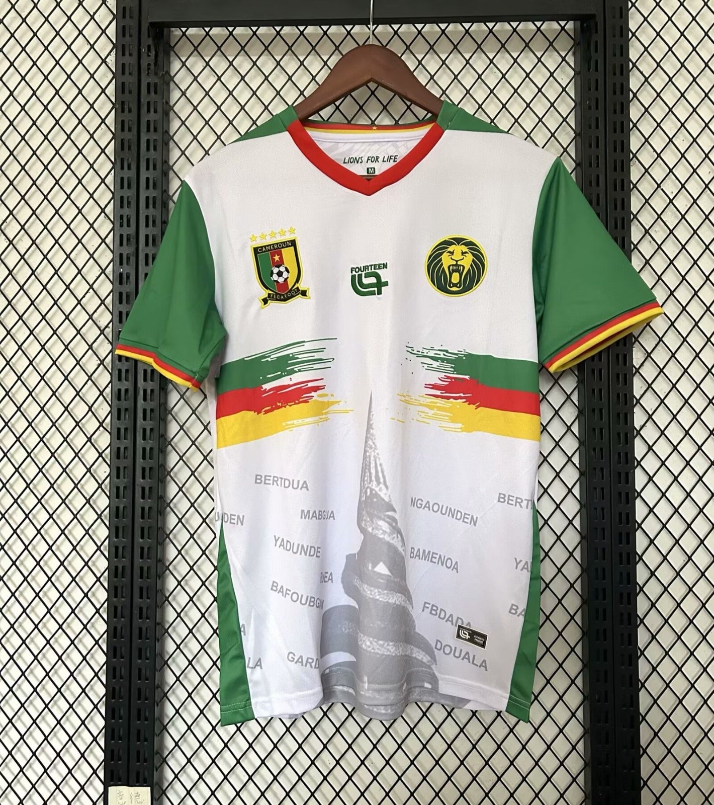 Maillot Cameroun Spécial 25/26 - L'Univers du Maillot
