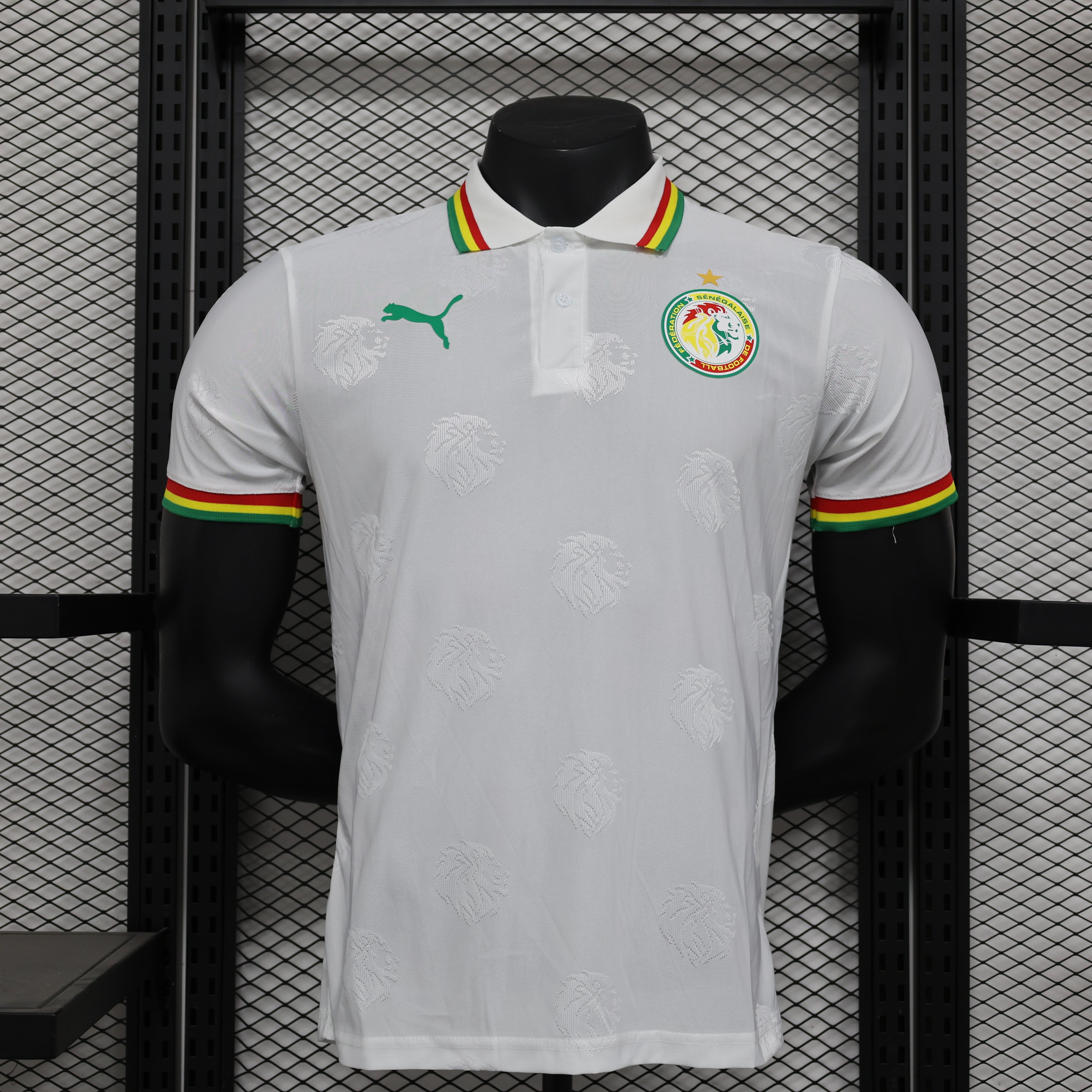 Maillot PLAYER 24/25 Sénégal Spécial Blanc - L'Univers du Maillot