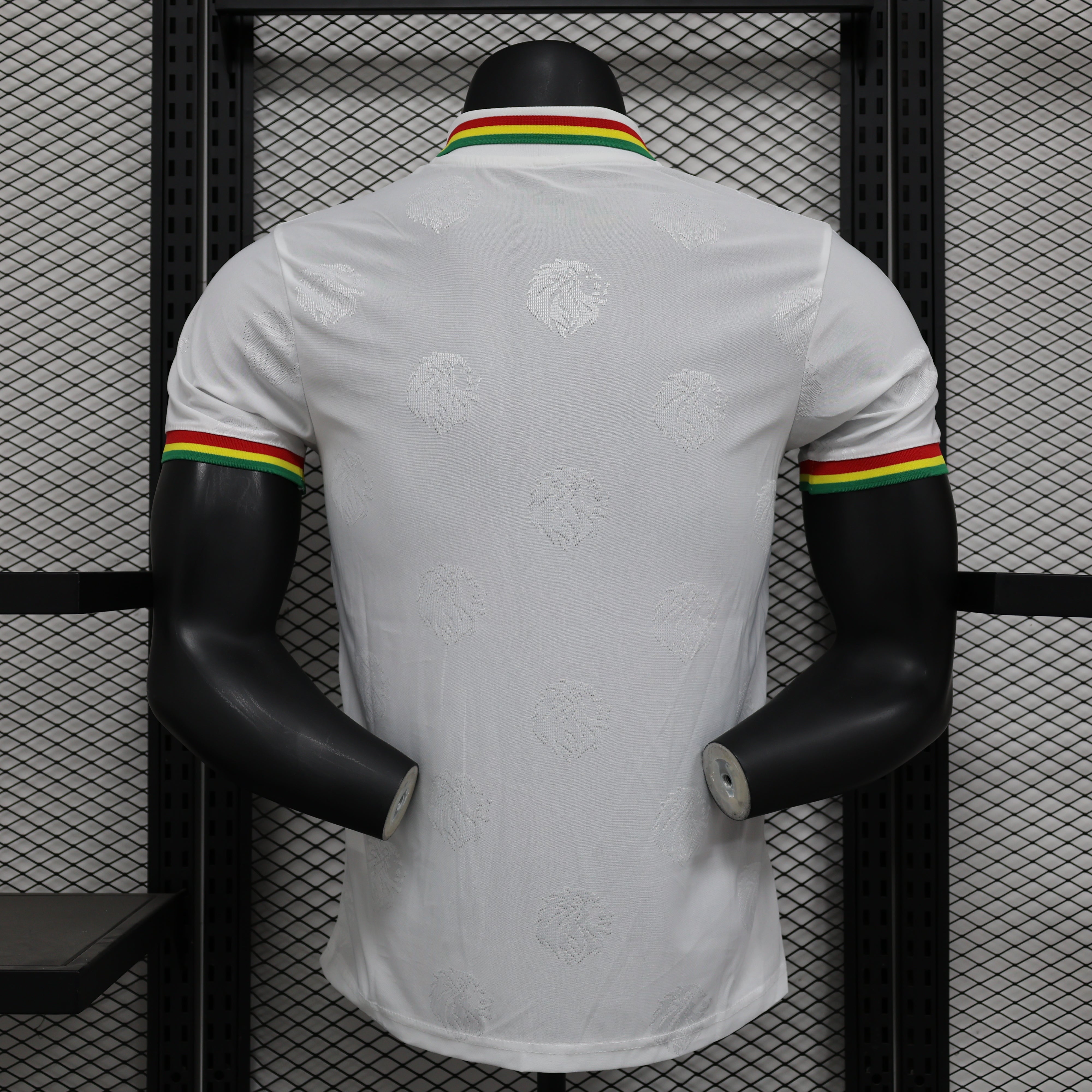 Maillot PLAYER 24/25 Sénégal Spécial Blanc - L'Univers du Maillot