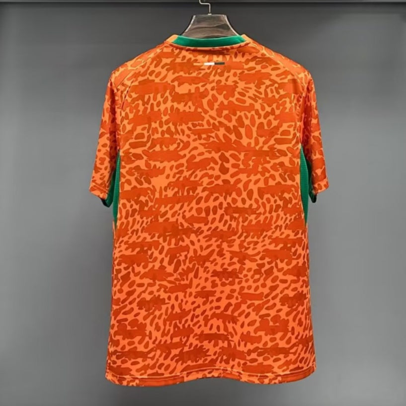 Maillot 25/26 Côte d'Ivoire Spécial