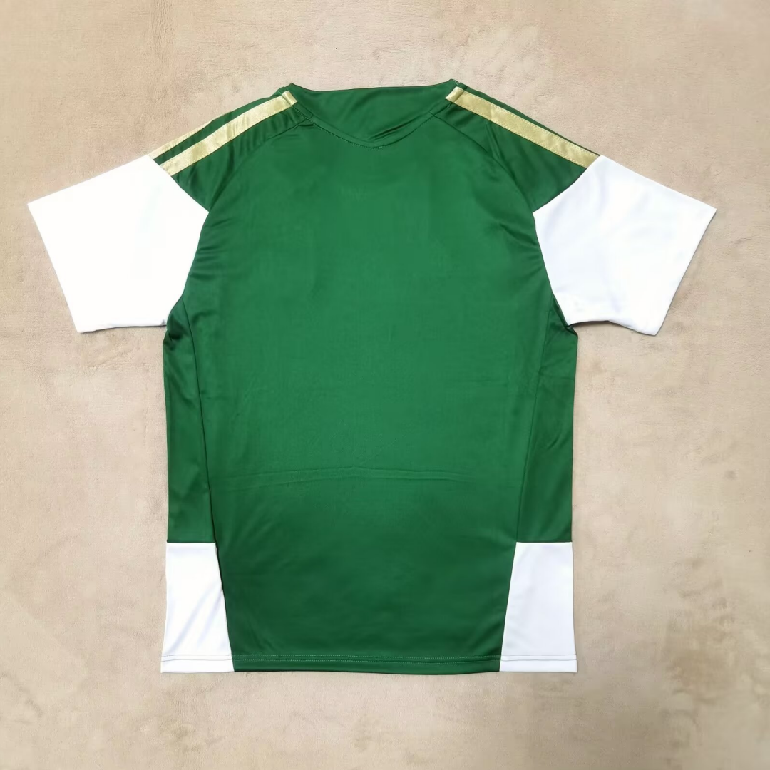Maillot 25/26 Italie Spécial green