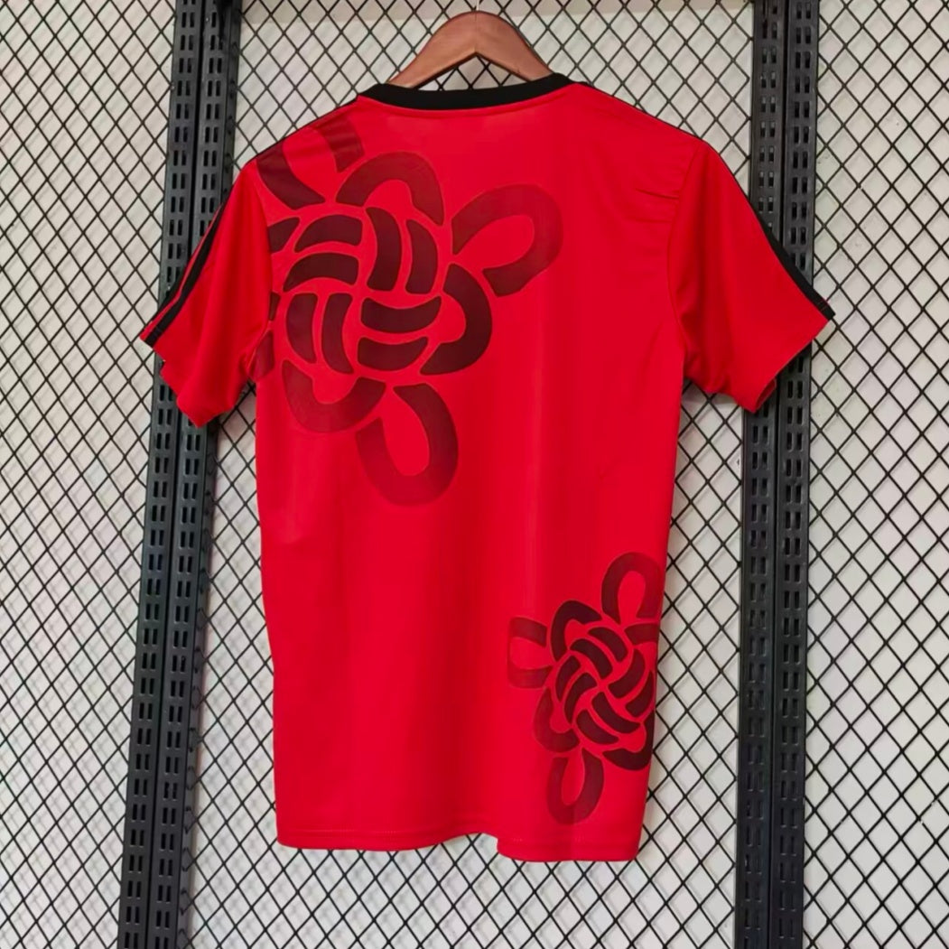 Maillot 25/26 Manchester United Spécial red