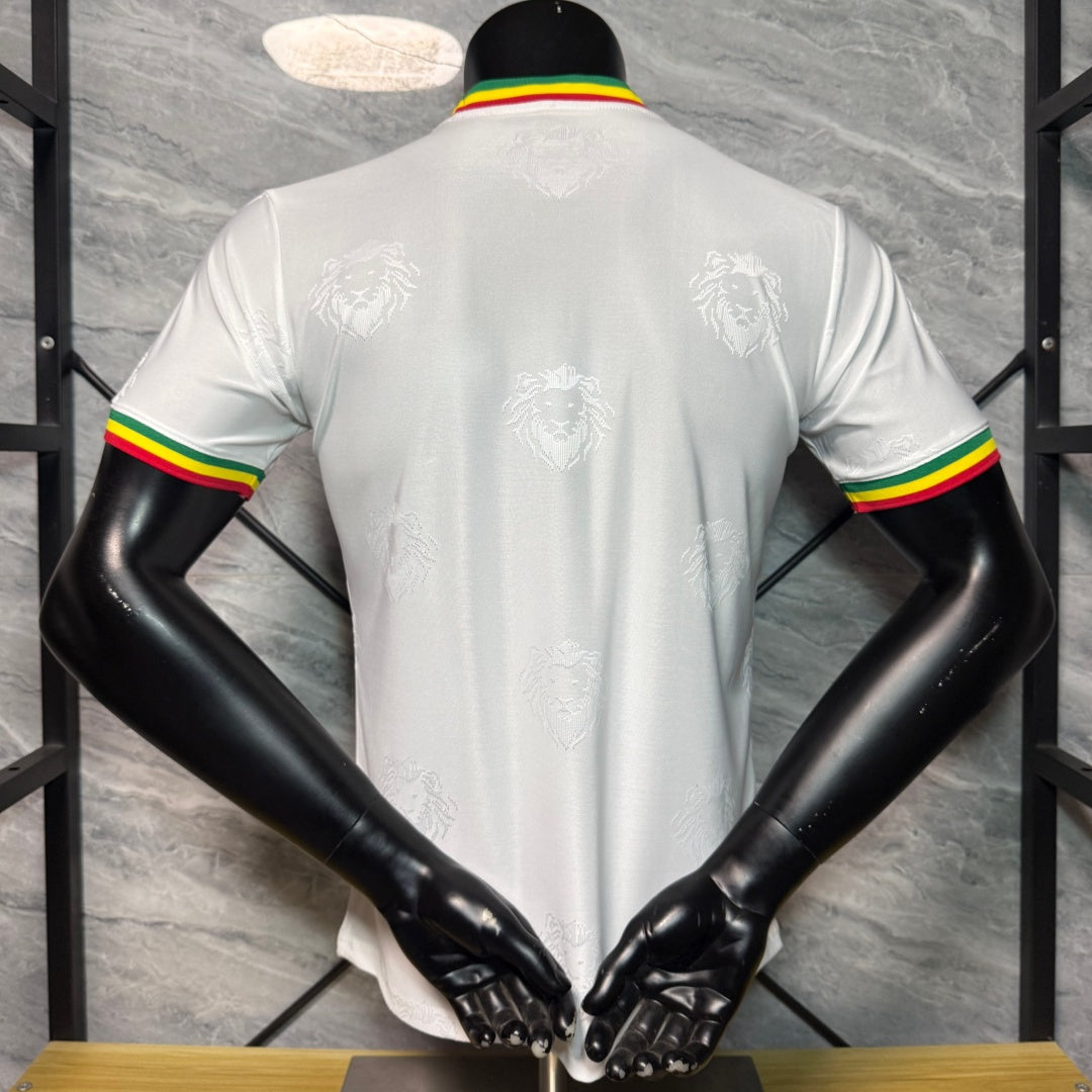 Maillot 26/27 Sénégal white player