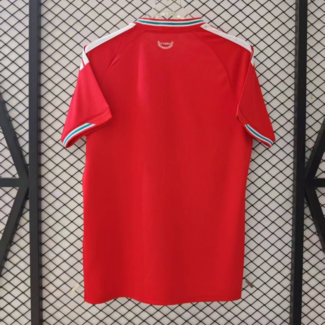 Maillot 25/26 wales Domicile