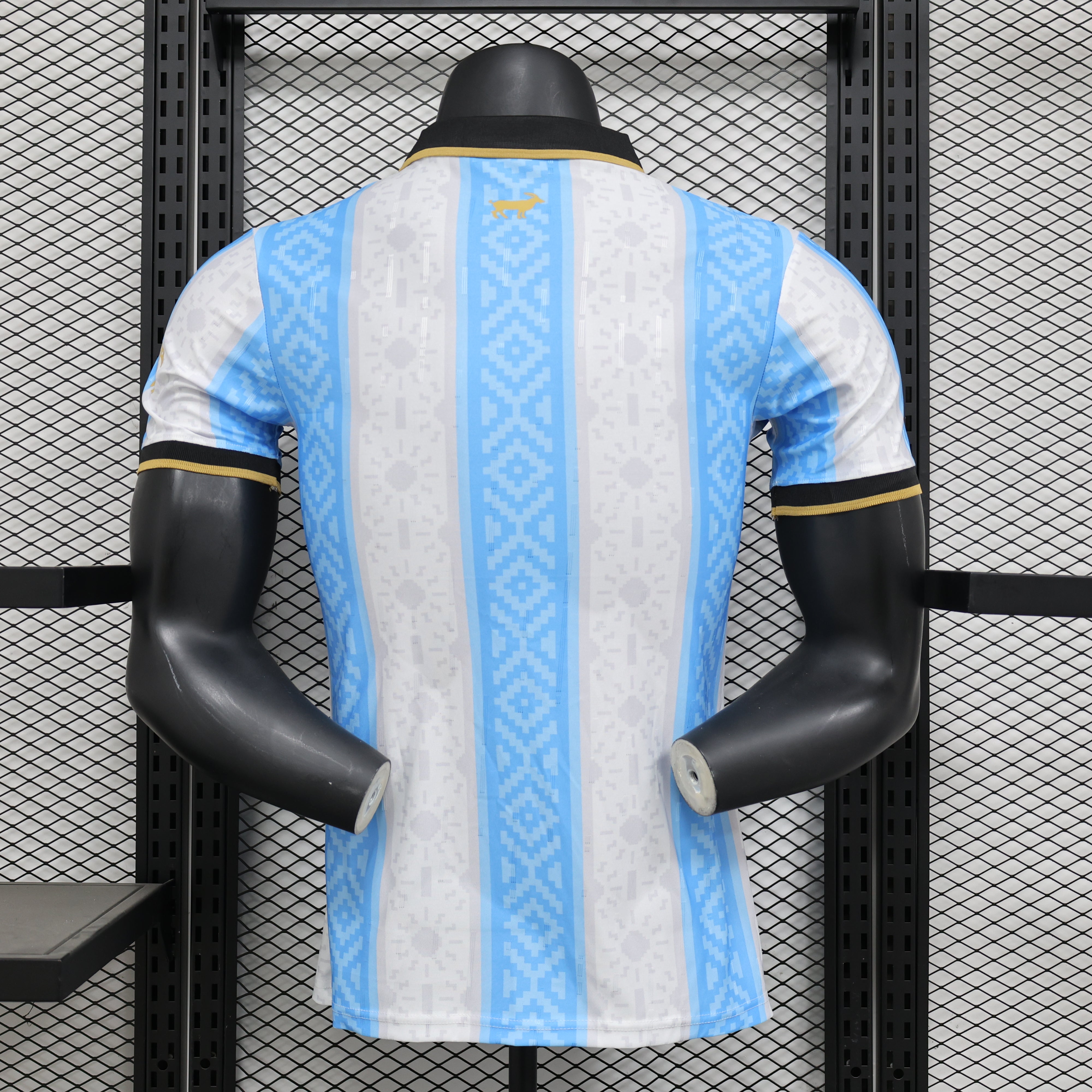 Maillot 24/25 Argentine Spécial - L'Univers du Maillot