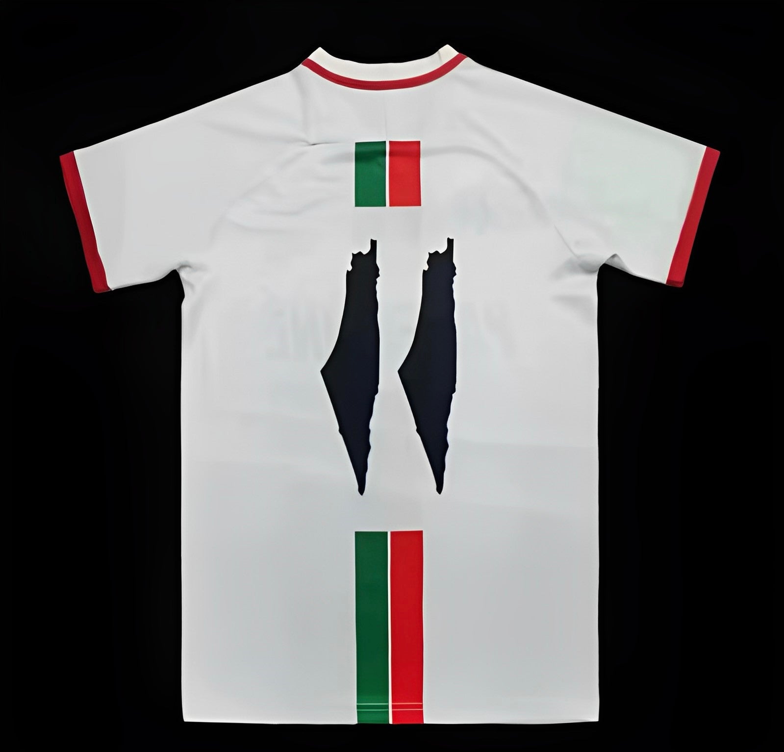 Palestine maillot Édition spéciale Blanc 2023 2024 - L'Univers du Maillot