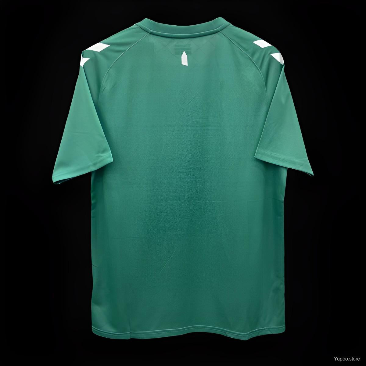 Maillot 24/25 Everton Hummel Édition Spéciale Vert - L'Univers du Maillot