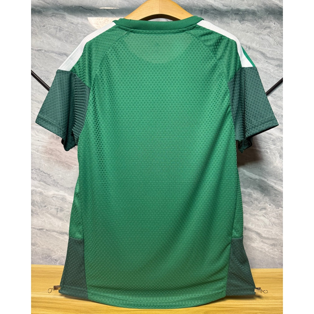 Maillot 25/26 Algeria Spécial player green A
