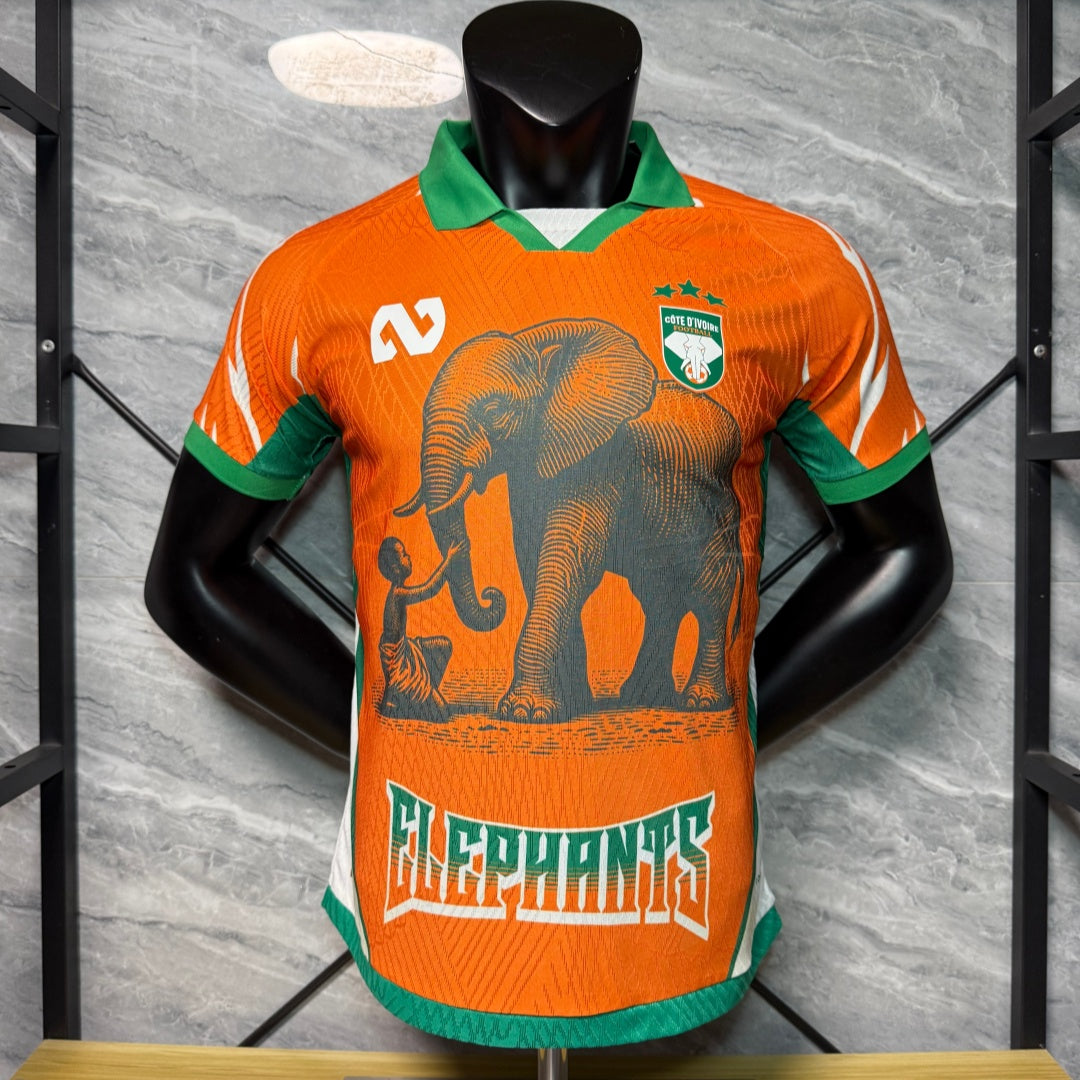 Maillot 26/27 Cote d'lvoire orange player