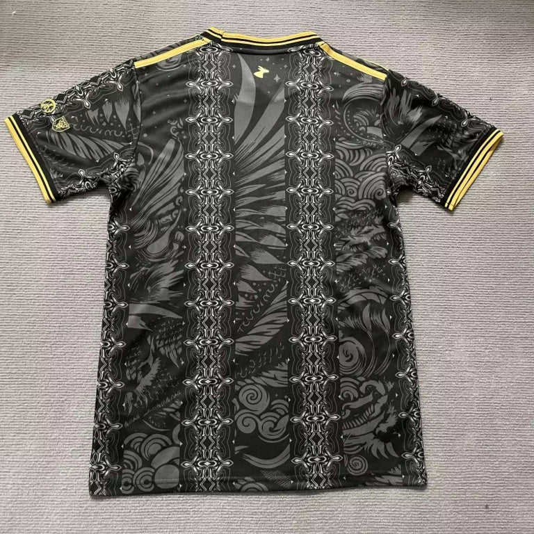 Maillot 25/26 Argentine Spécial black ,