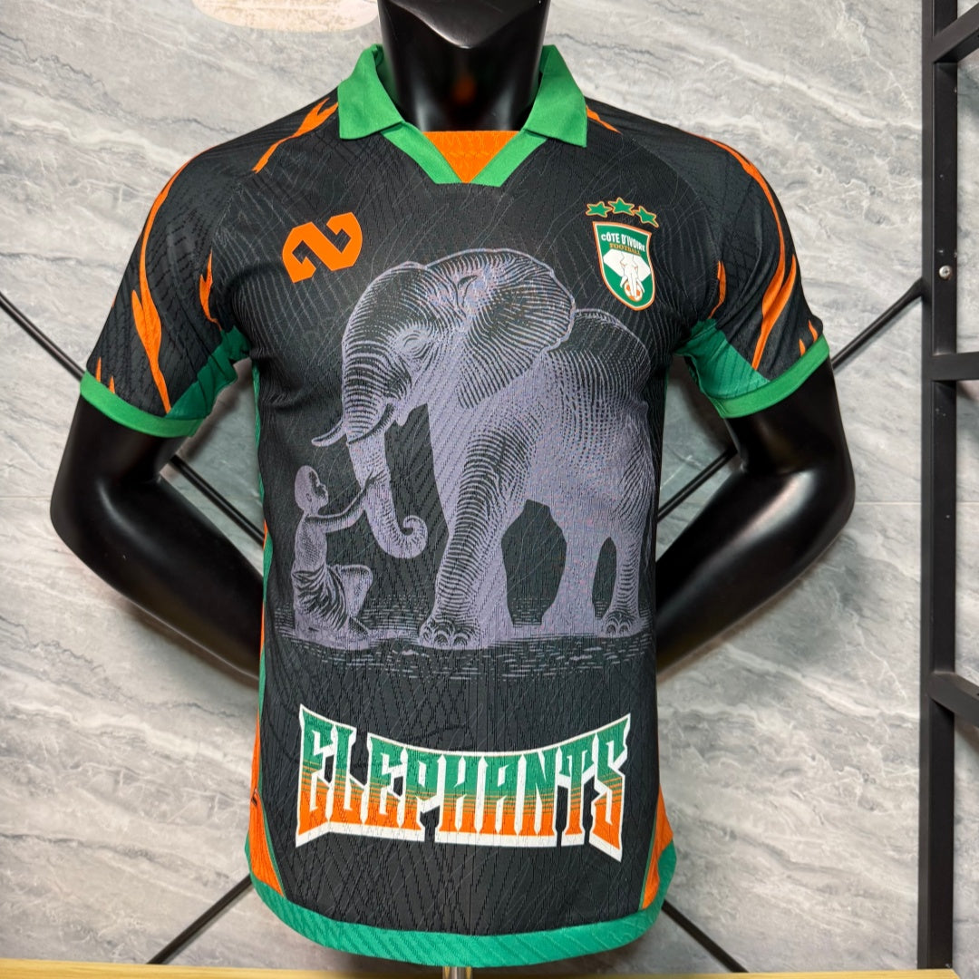 Maillot 26/27 Cote d'lvoire black  player